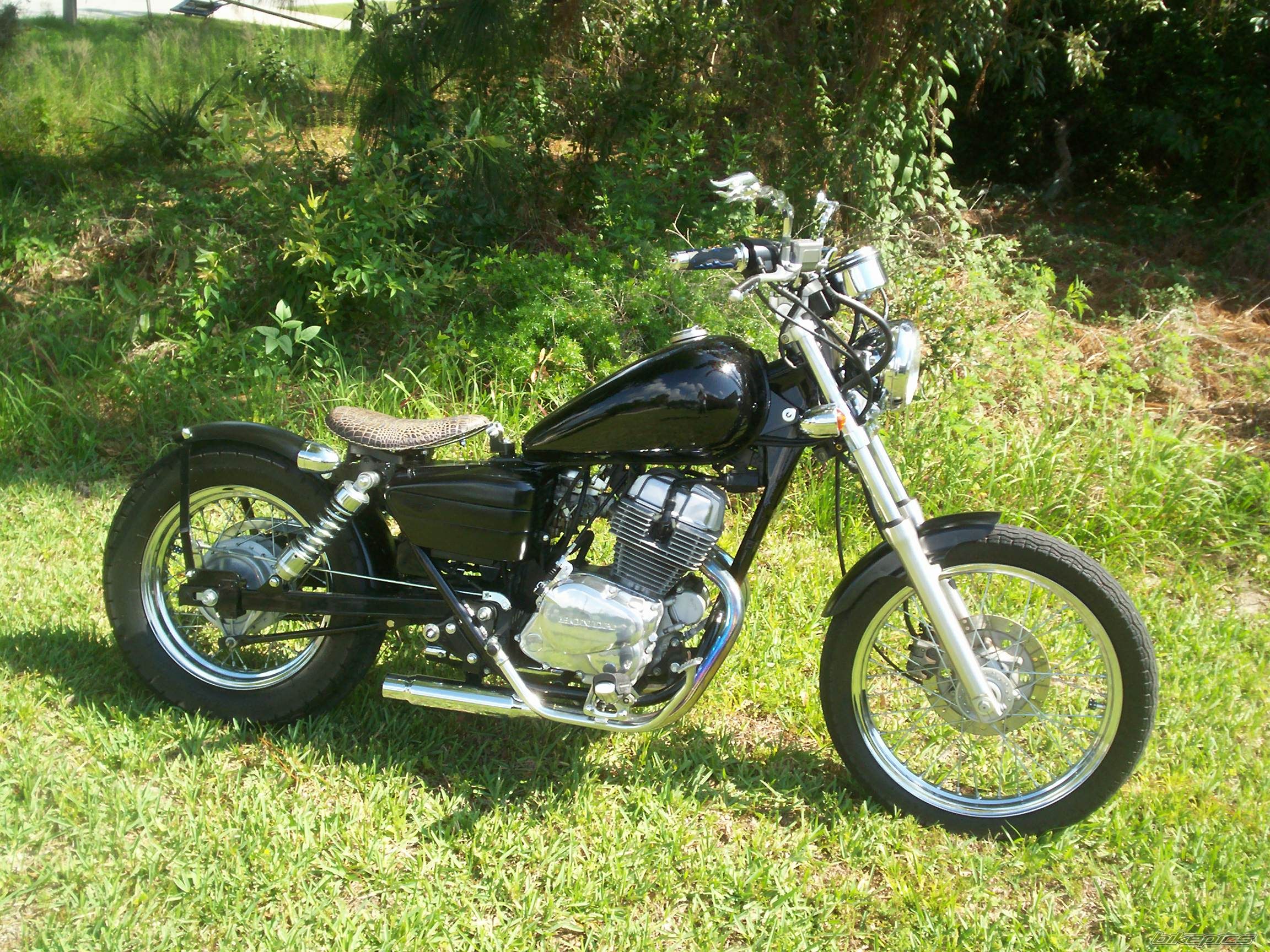 2001 HONDA CMX 250 | Picture 1984997 motorcycle photo