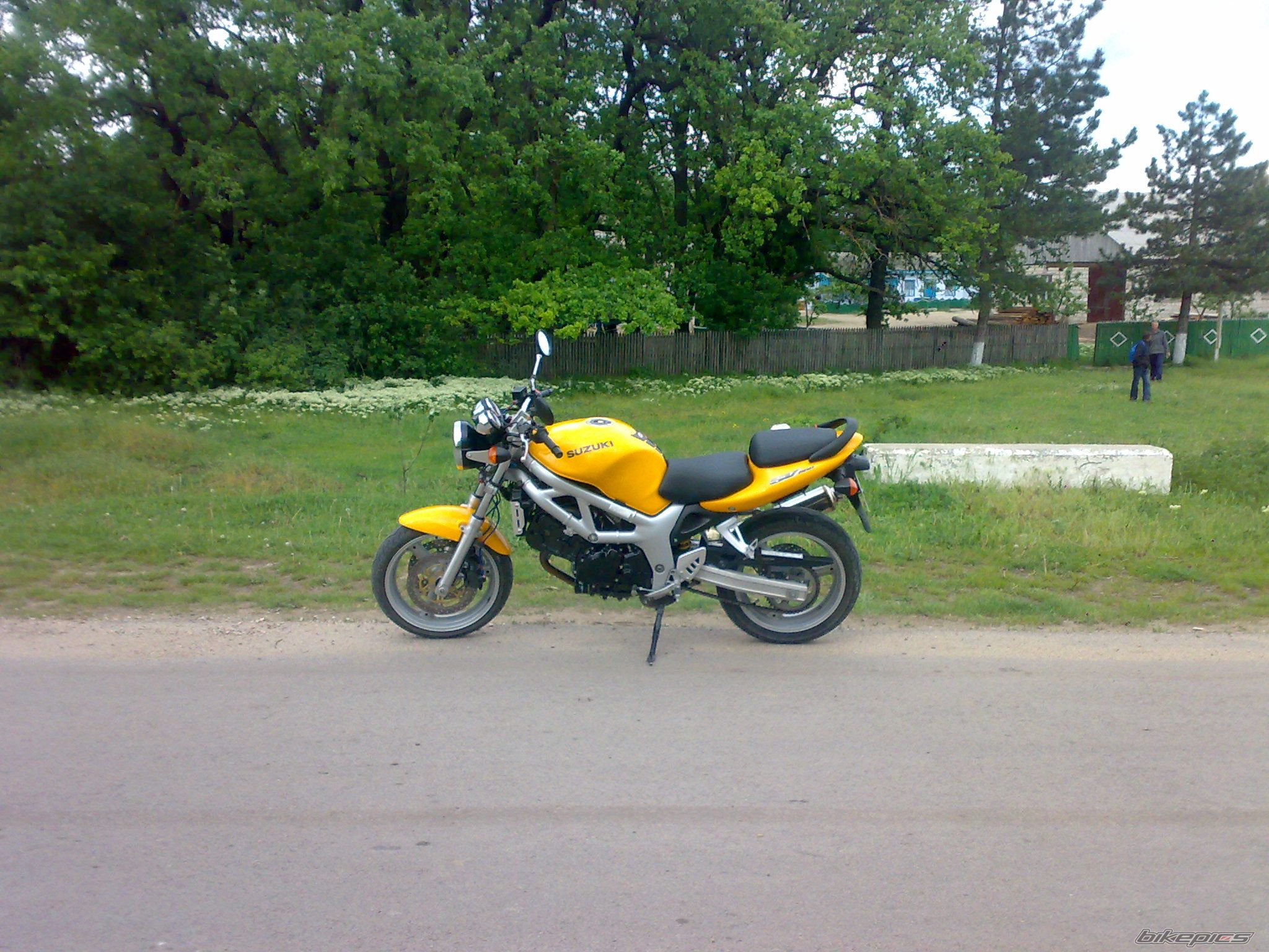 1999 SUZUKI SV 650 | Picture 1985403 motorcycle photo