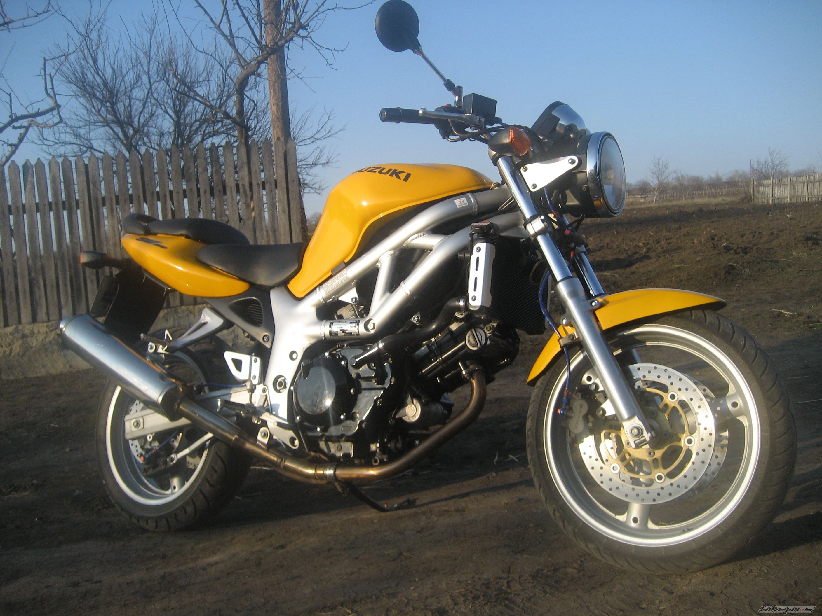 1999 SUZUKI SV 650 | Picture 1985405 motorcycle photo