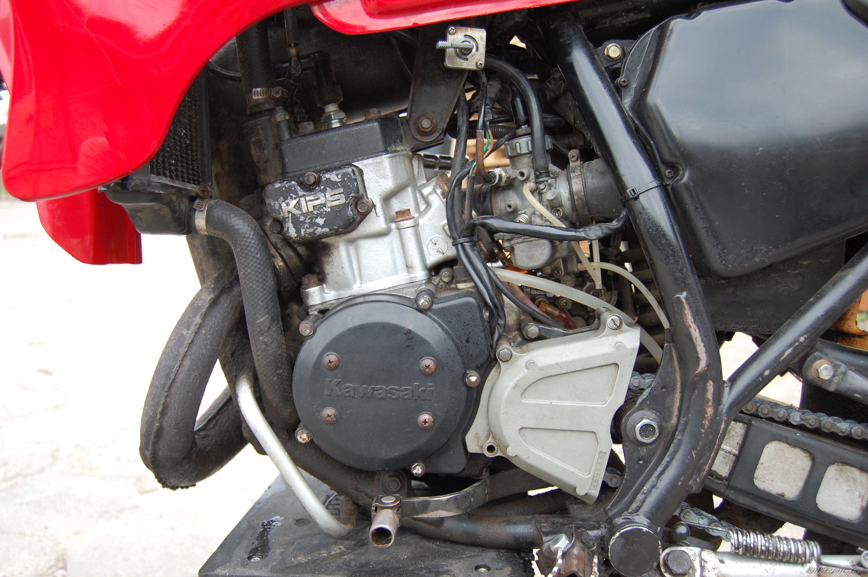1999 KAWASAKI KMX 125 | Picture 1985675 motorcycle photo