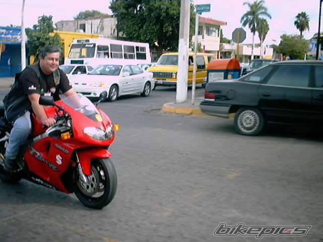 1998 SUZUKI TL1000R | Picture 198581 motorcycle photo