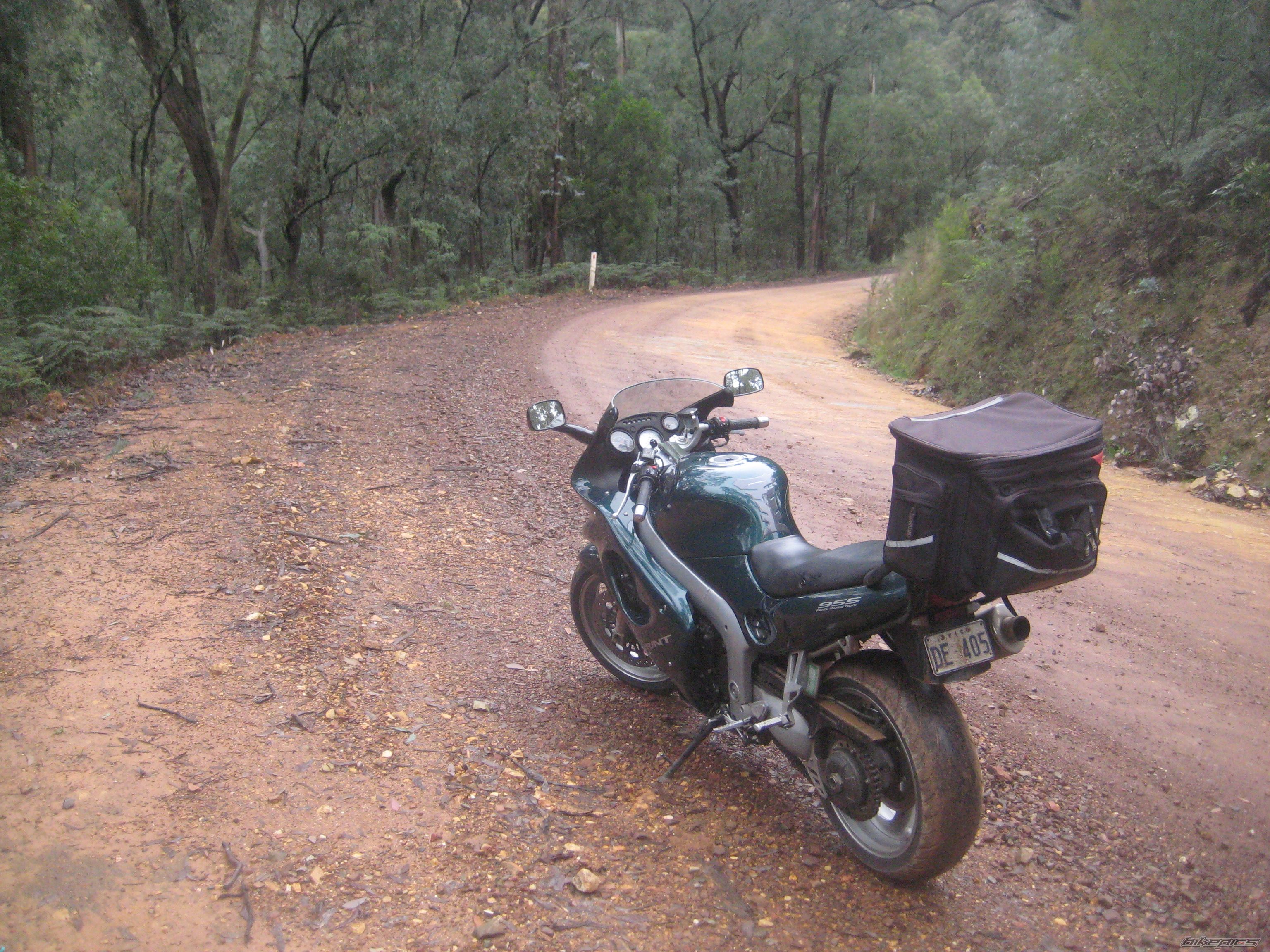 2001 TRIUMPH SPRINT ST | Picture 1985904 motorcycle photo