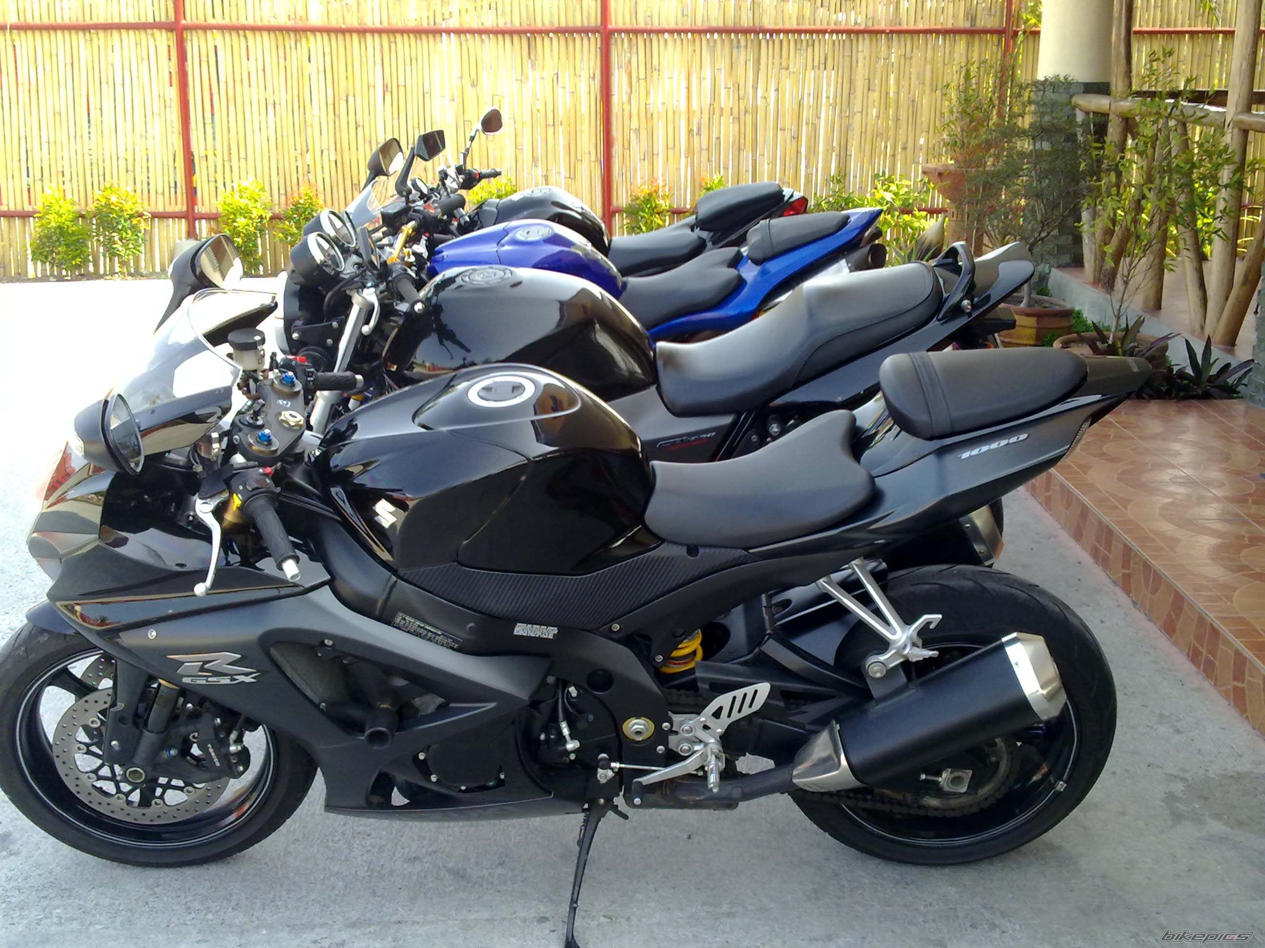 2008 SUZUKI GSX R 1000 | Picture 1985909 motorcycle photo