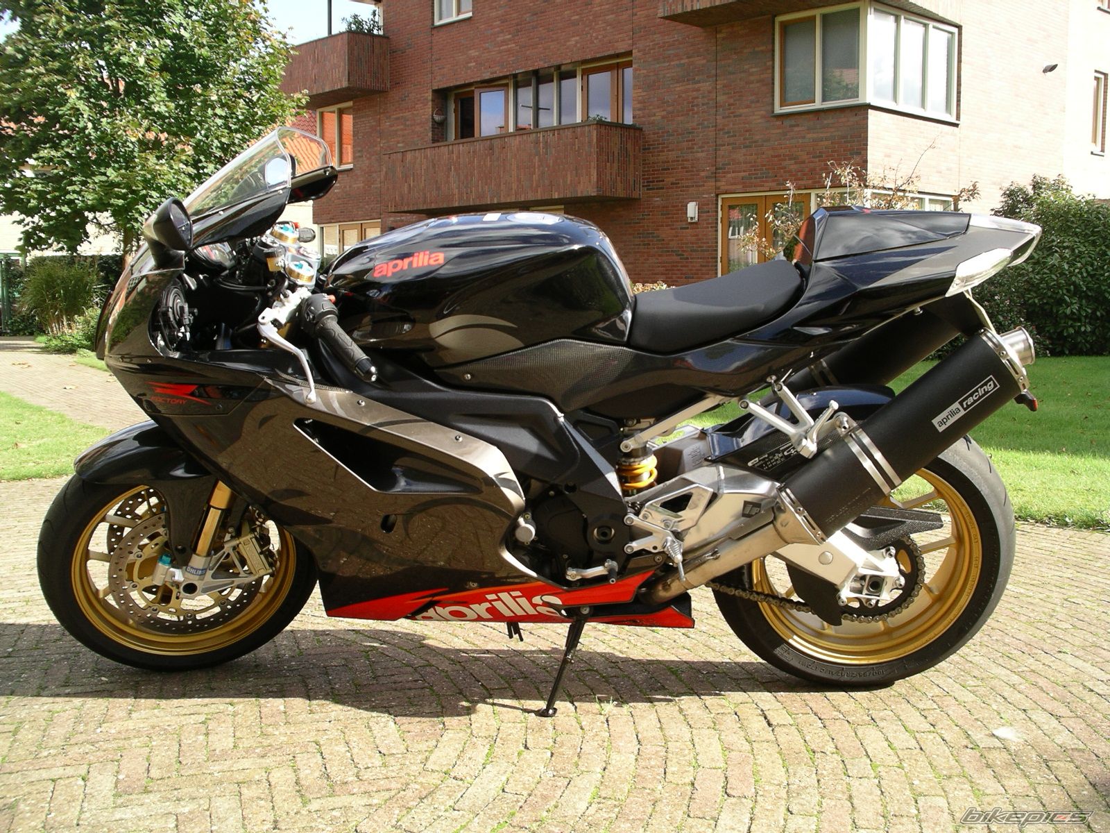 2006 APRILIA RSV MILLE FACTORY | Picture 1986081 motorcycle photo