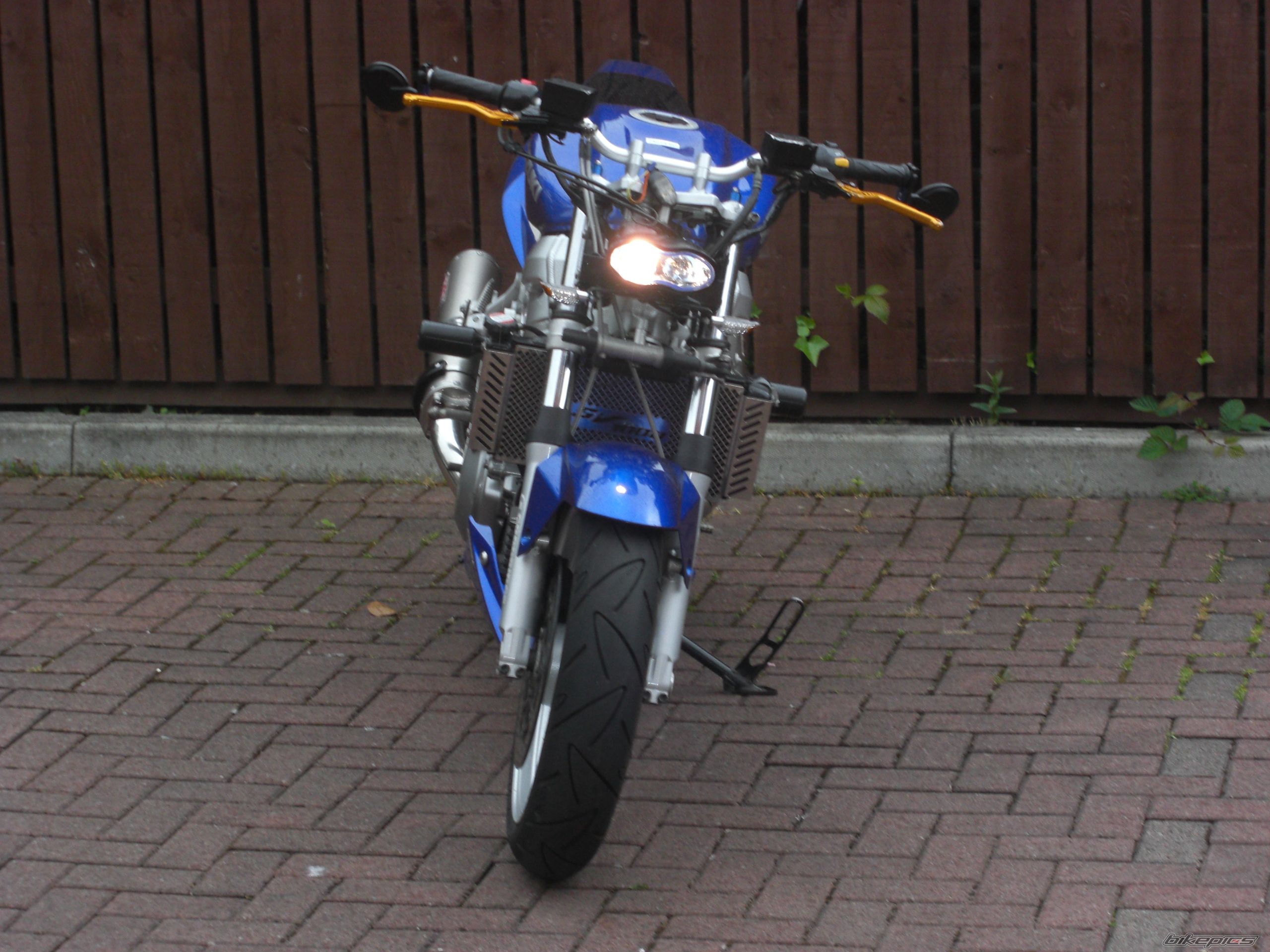 2003 SUZUKI SV 1000 | Picture 1986292 motorcycle photo