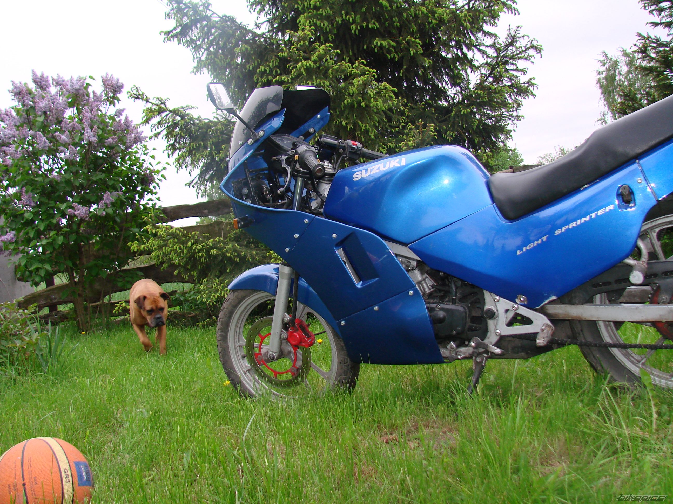1990 SUZUKI RG 80 | Picture 1986411 motorcycle photo
