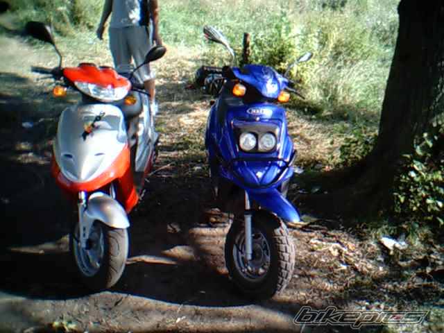 2004 TGB AKROS TEC 50 | Picture 198672 motorcycle photo