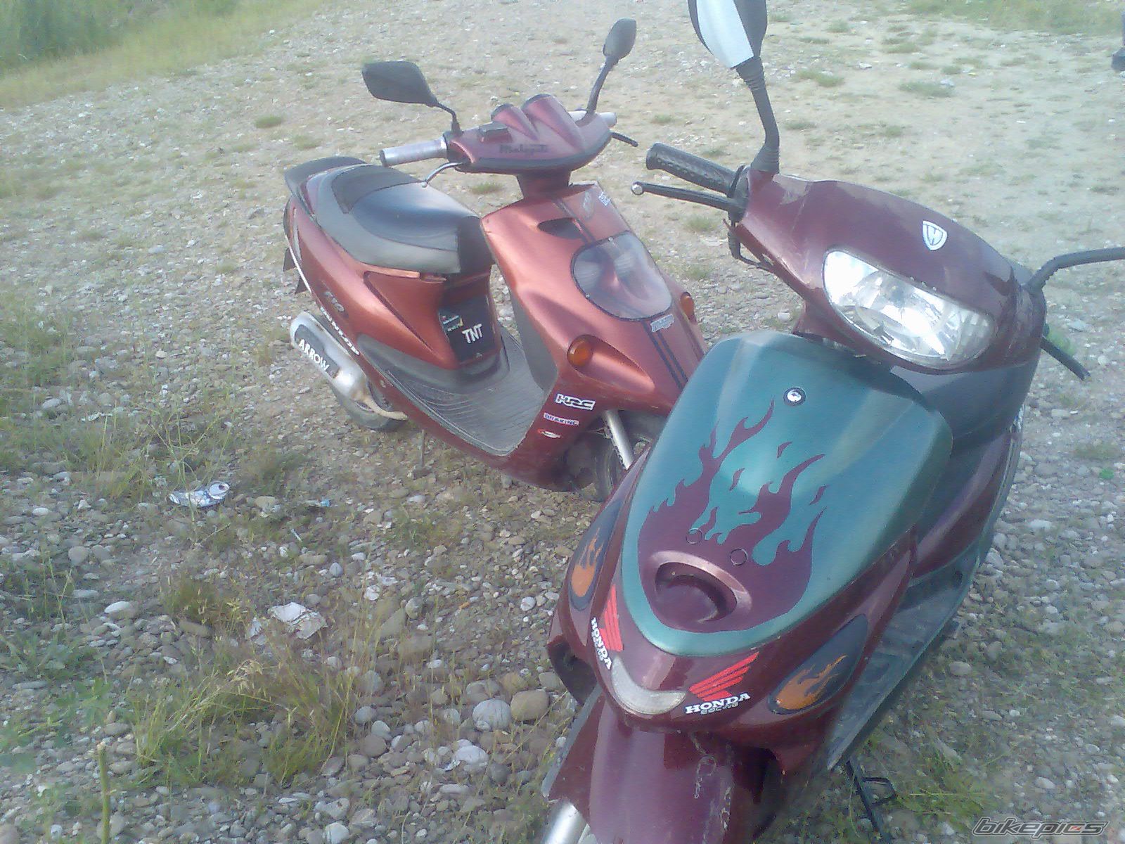 2010 MALAGUTI F 10 50 | Picture 1987325 motorcycle photo