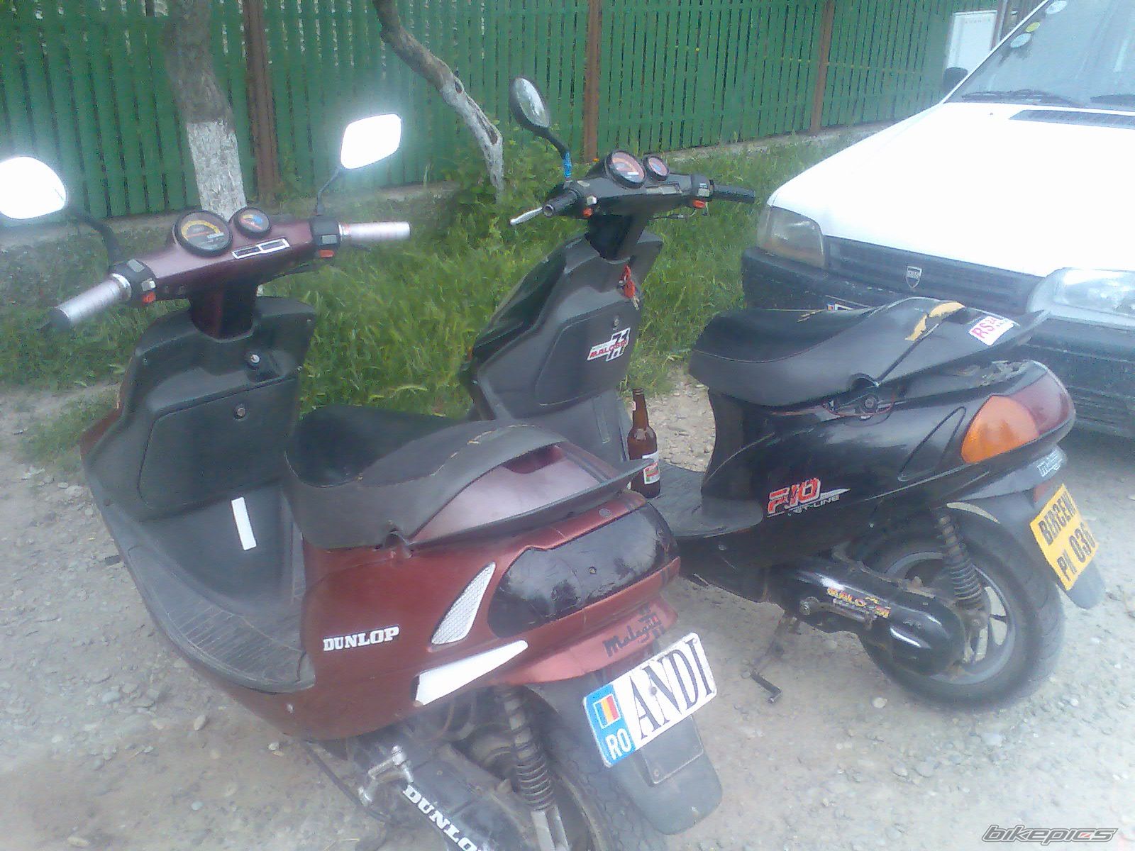 2010 MALAGUTI F 10 50 | Picture 1987331 motorcycle photo