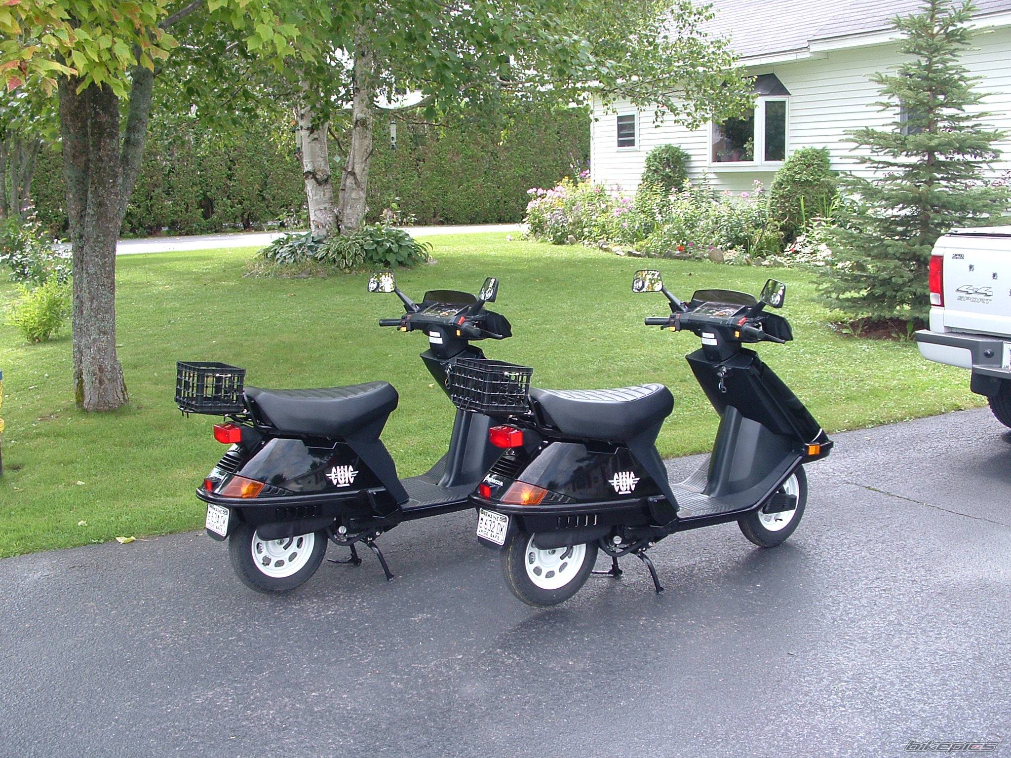 2004 HONDA ELITE | Picture 198805 motorcycle photo