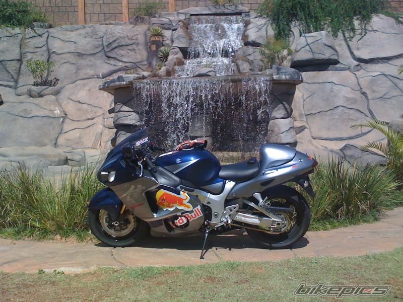 2008 SUZUKI HAYABUSA | Picture 1988719 motorcycle photo
