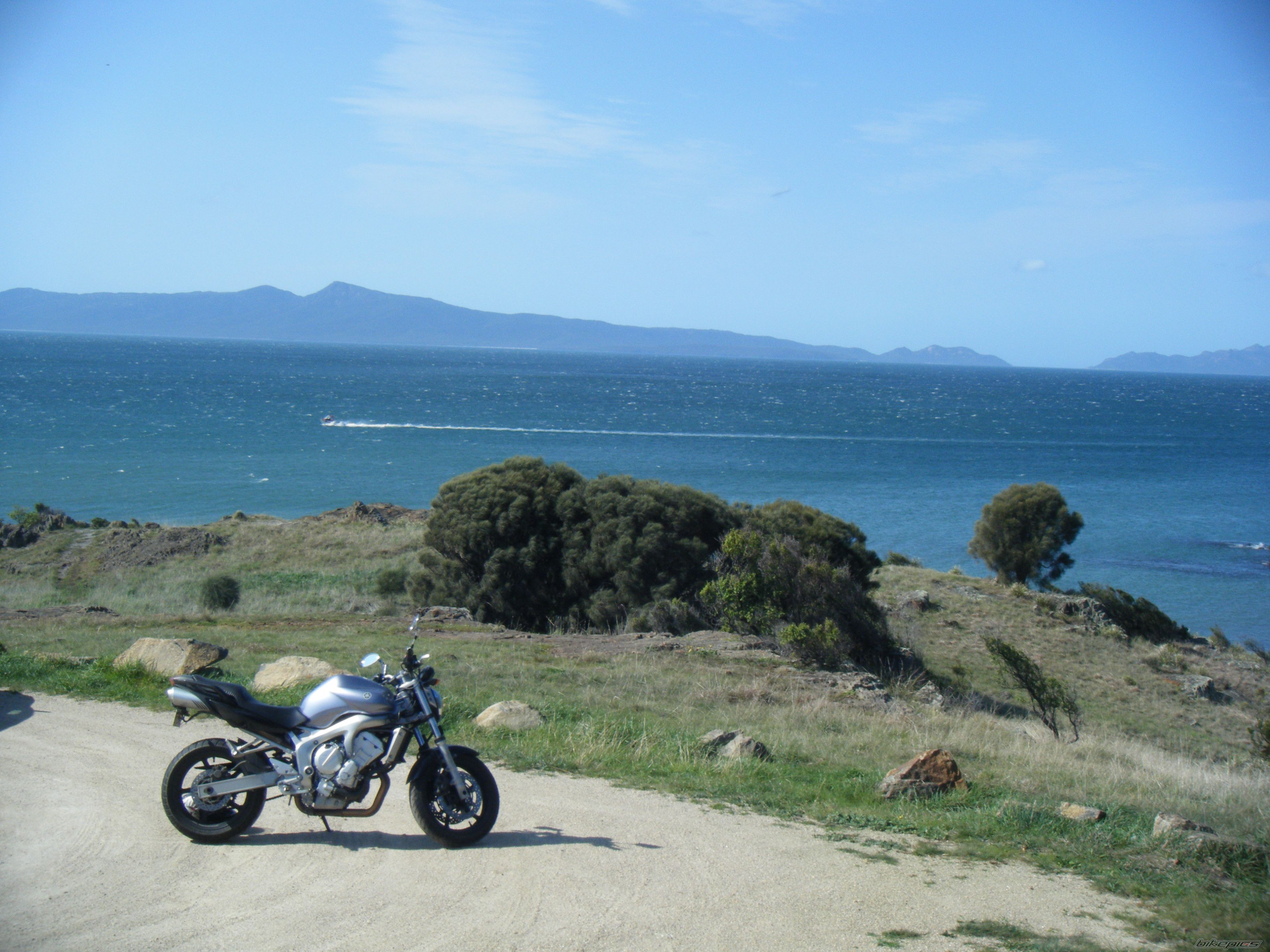 2005 YAMAHA FZ6N | Picture 1989375 motorcycle photo