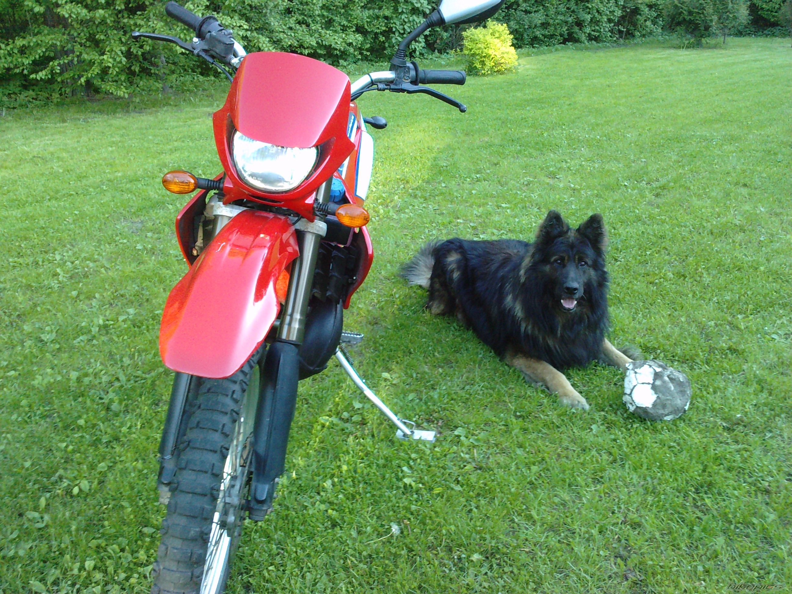 2000 DERBI SENDA X TREME R 50 | Picture 1990619 motorcycle photo