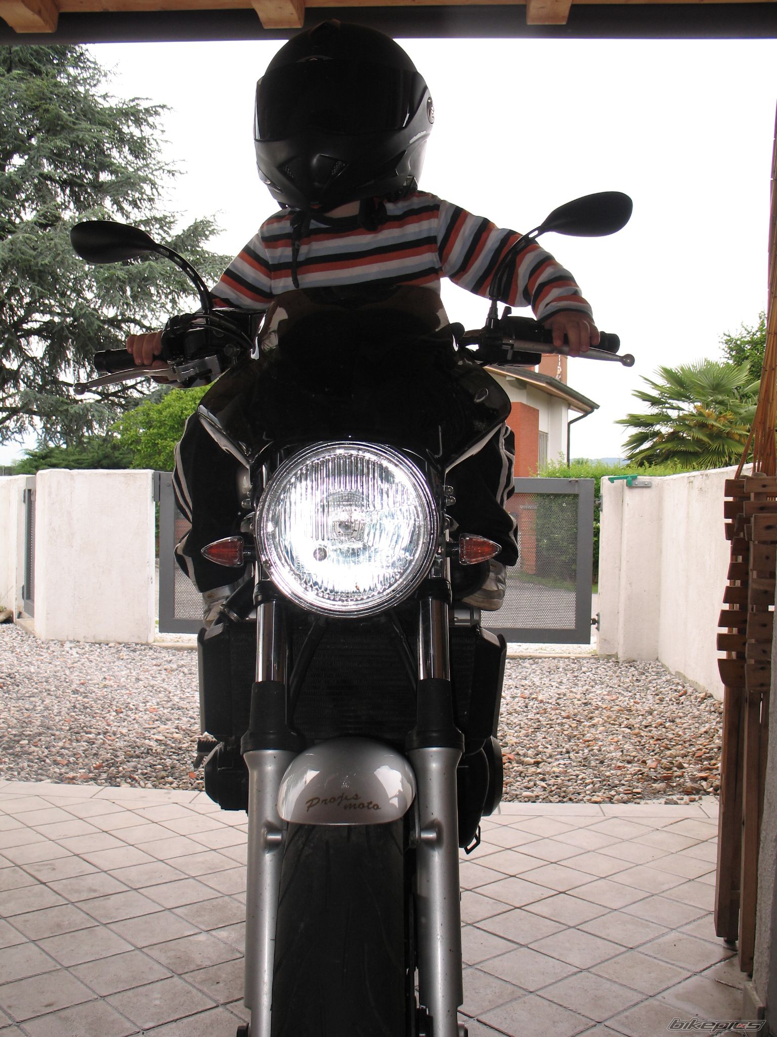 2001 YAMAHA FZS 600 FAZER | Picture 1991333 motorcycle photo