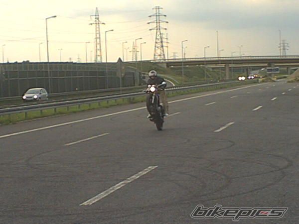 2003 KAWASAKI ER5 | Picture 1991706 motorcycle photo