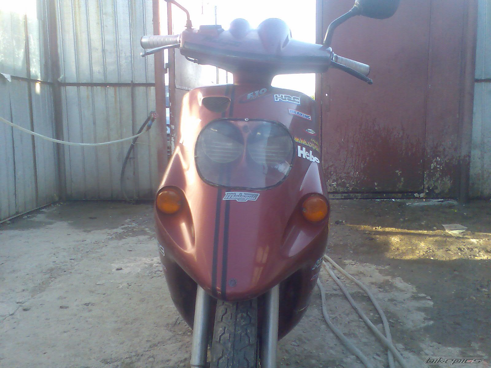 2010 MALAGUTI F 10 50 | Picture 1991969 motorcycle photo