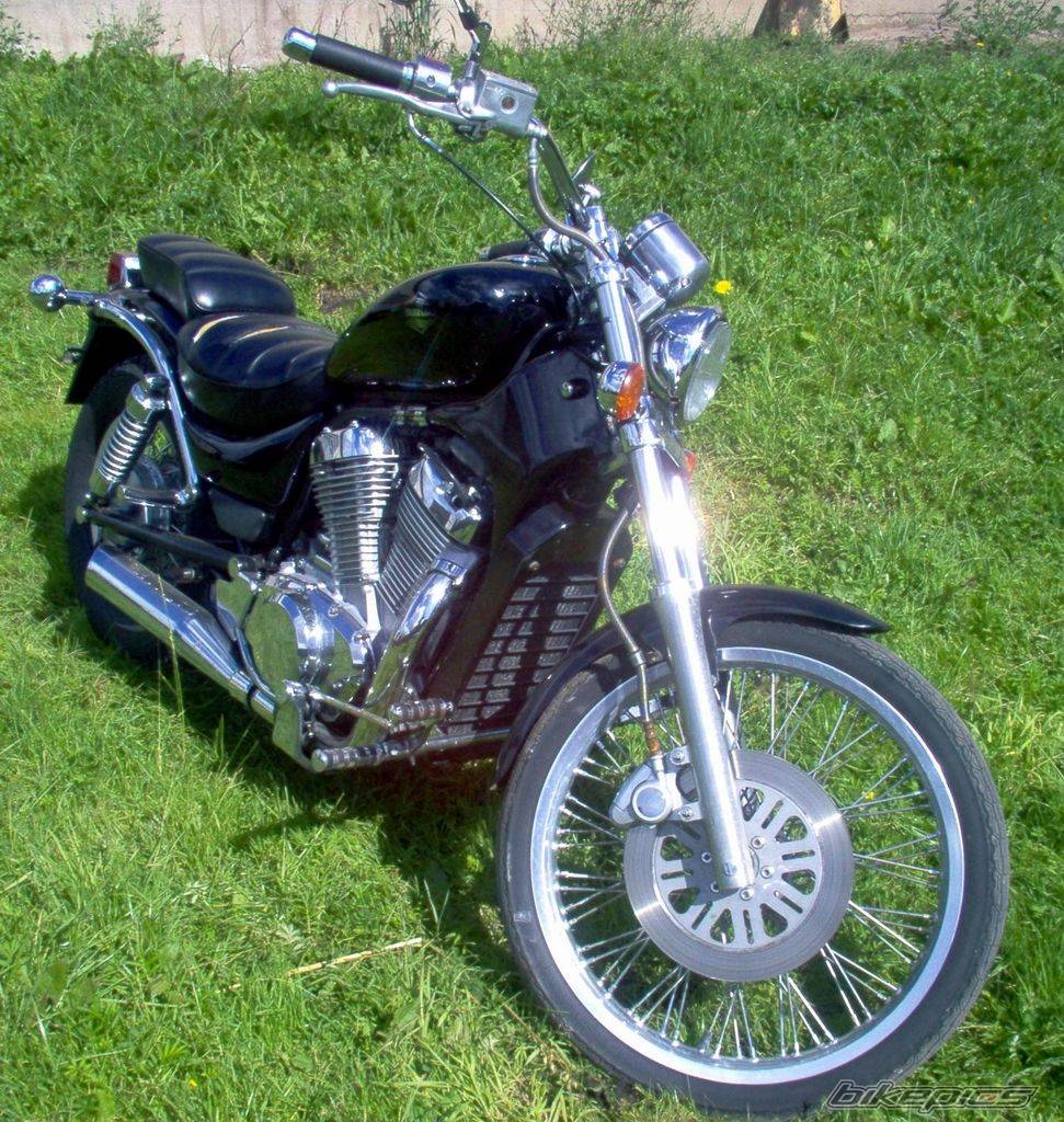 1994 SUZUKI INTRUDER 800 | Picture 199522 motorcycle photo
