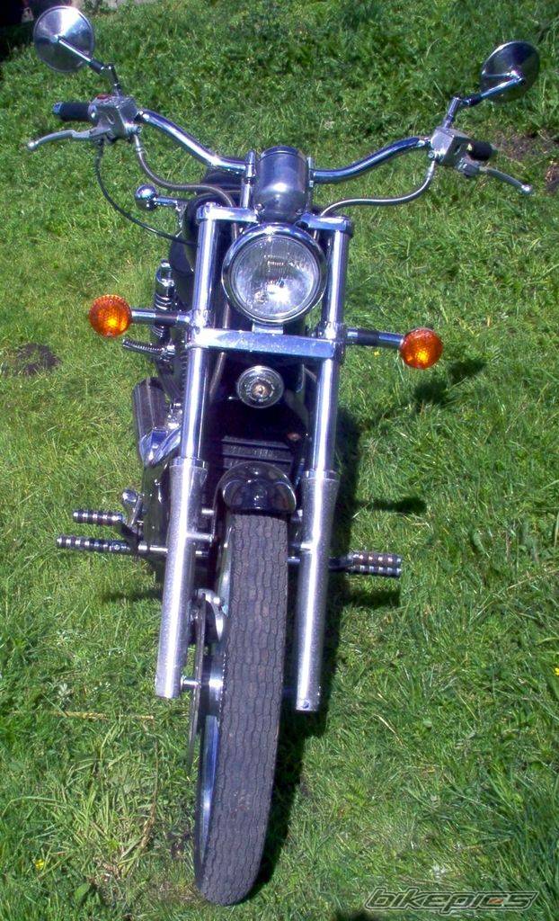 1994 SUZUKI INTRUDER 800 | Picture 199534 motorcycle photo