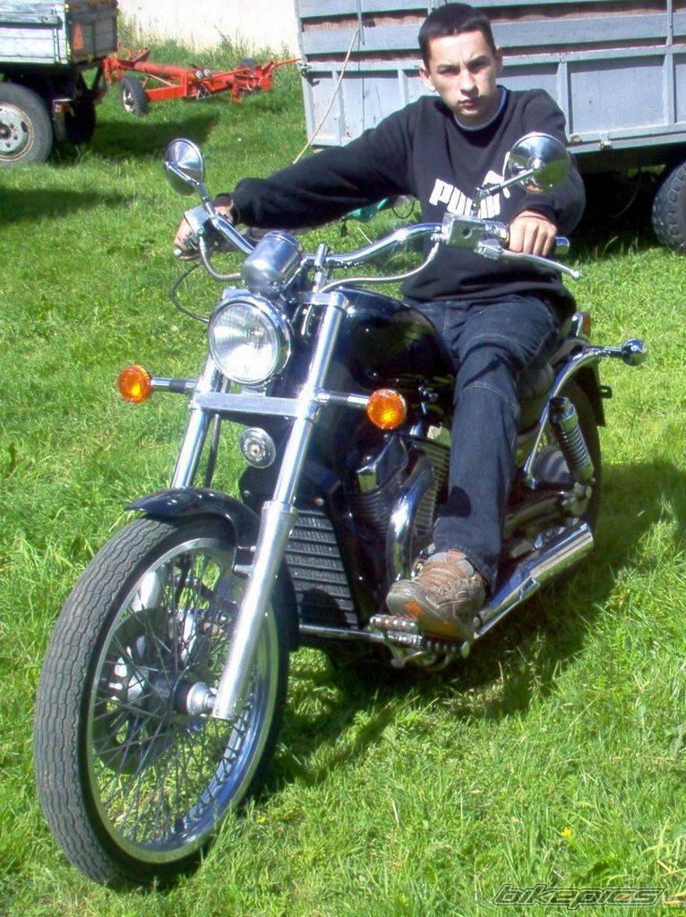 1994 SUZUKI INTRUDER 800 | Picture 199535 motorcycle photo