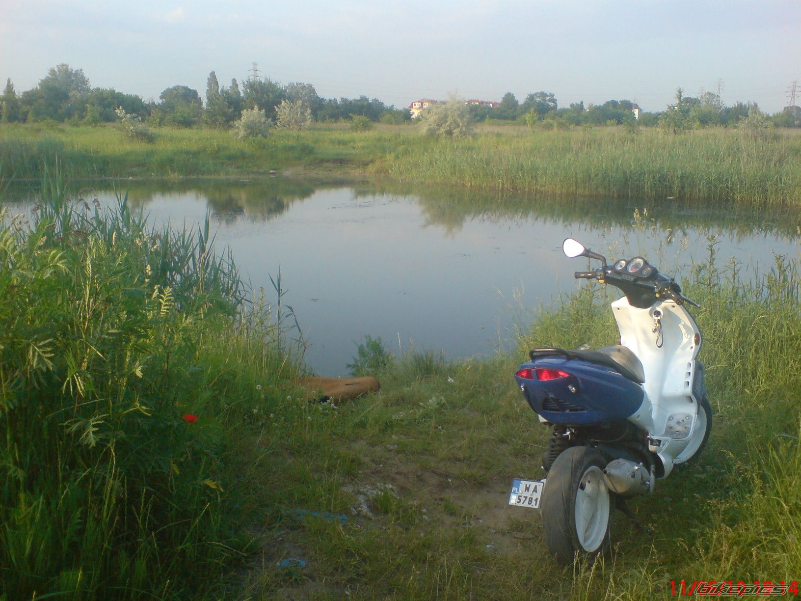 2003 PEUGEOT SPEEDFIGHT2 50 | Picture 1995688 motorcycle photo
