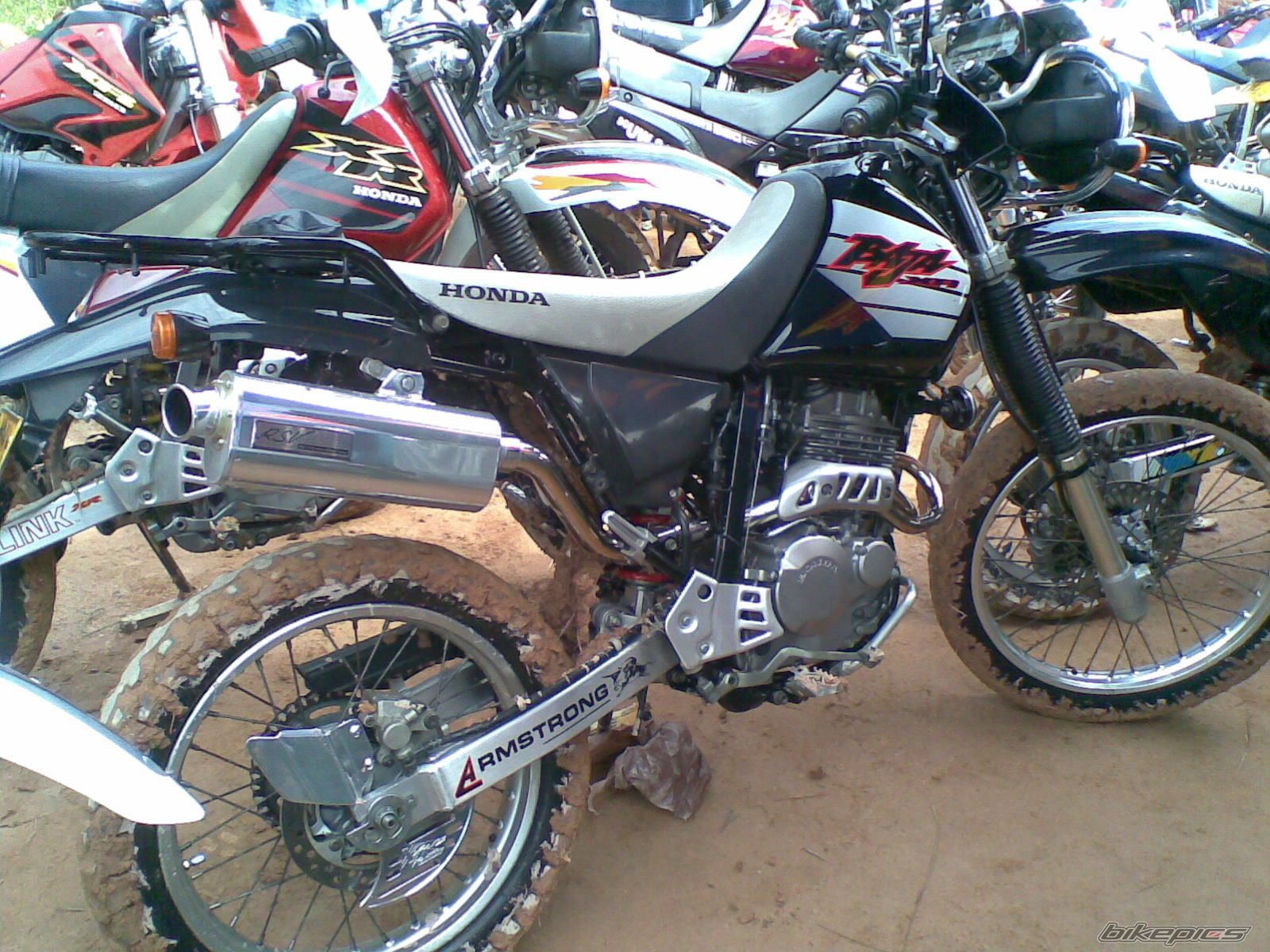 2005 HONDA XR 250 BAJA | Picture 1995816 motorcycle photo
