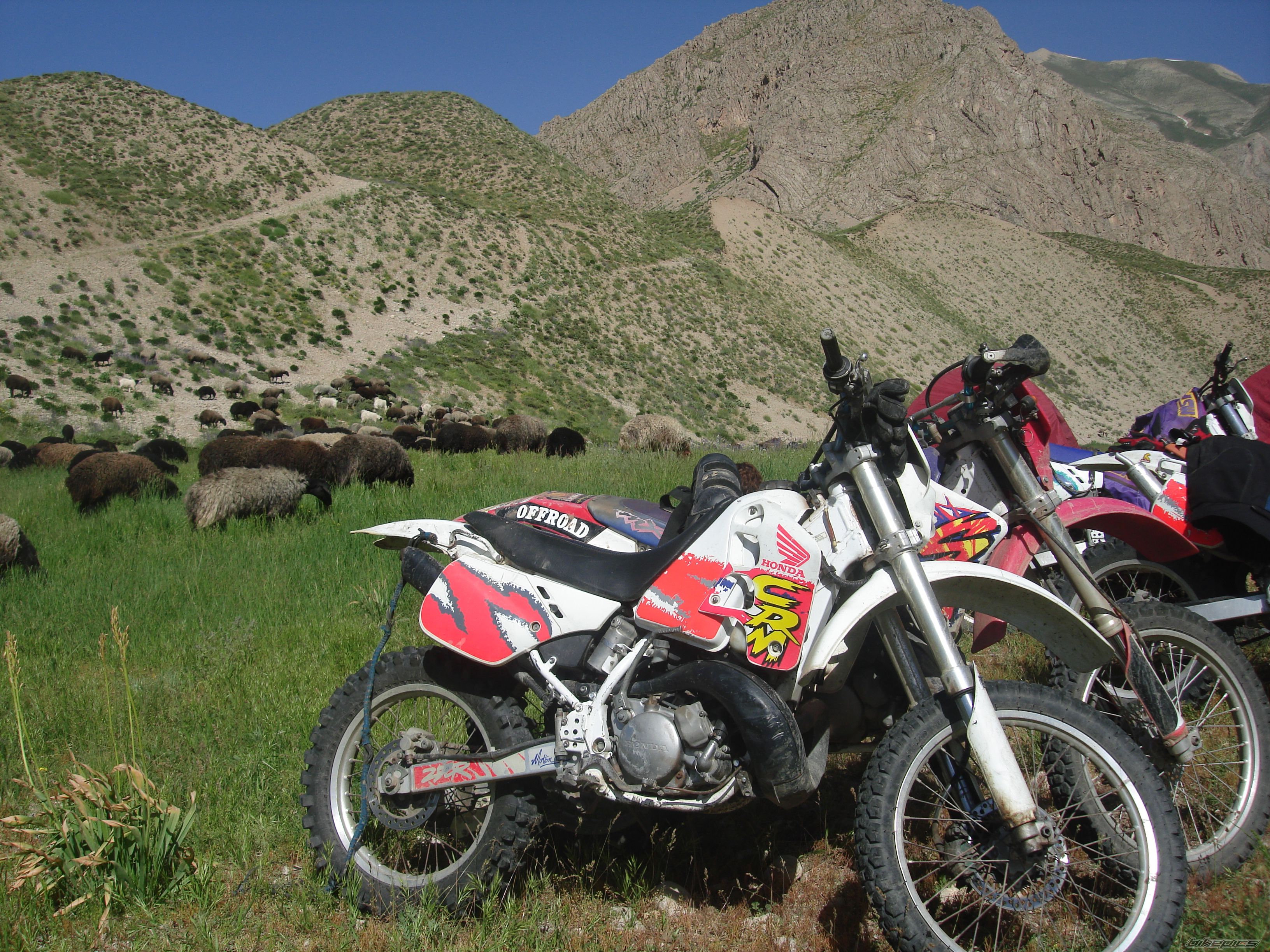 2010 HONDA CRM 250 | Picture 1995917 motorcycle photo
