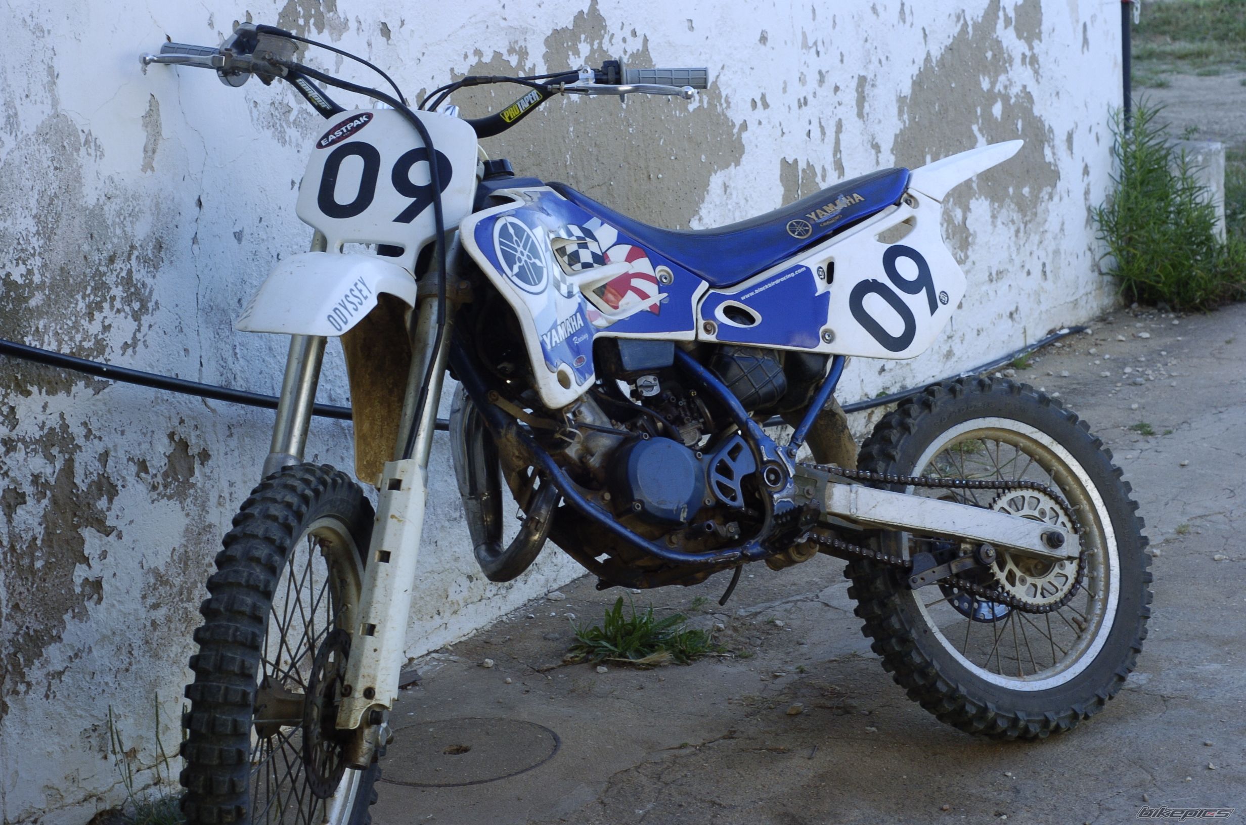 1996 YAMAHA YZ 80 | Picture 1995979 motorcycle photo