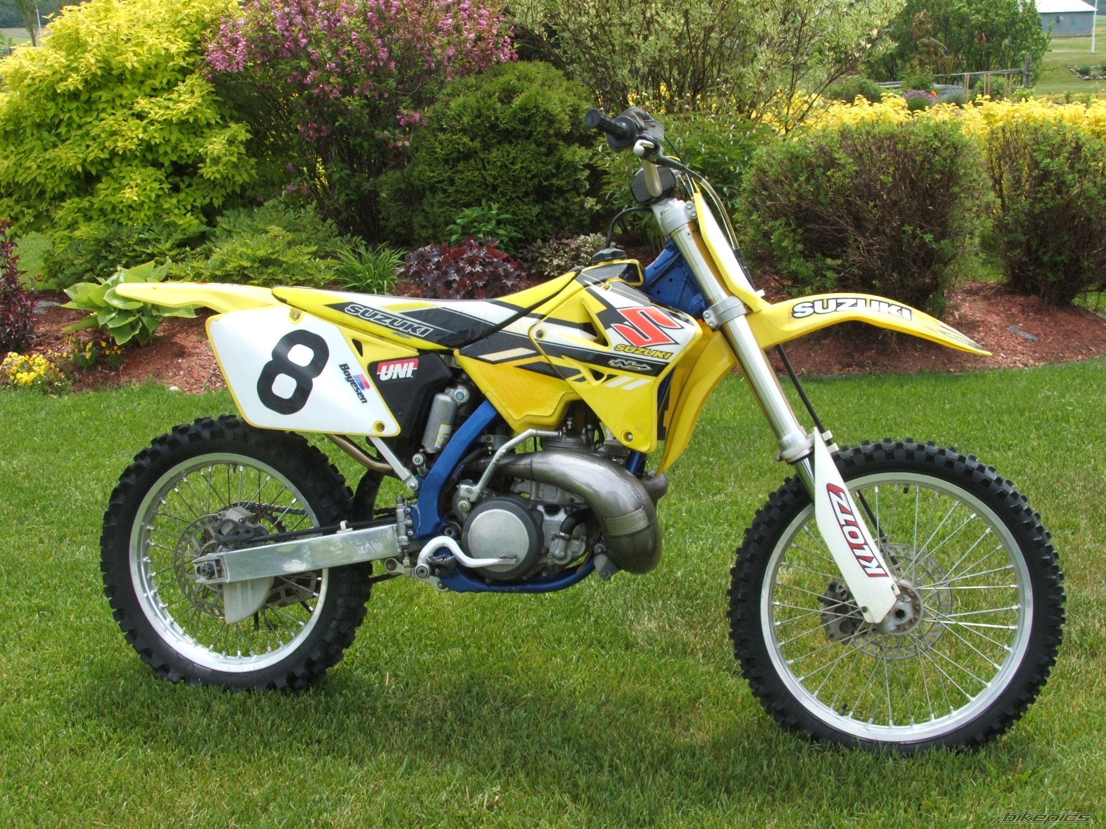 2001 SUZUKI RM 250 | Picture 1996142 motorcycle photo