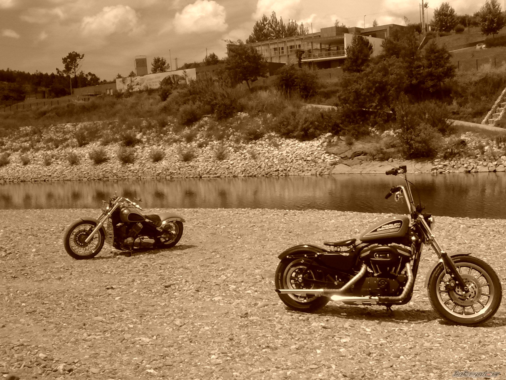 2009 HARLEY DAVIDSON XL 883C | Picture 1997863 motorcycle photo