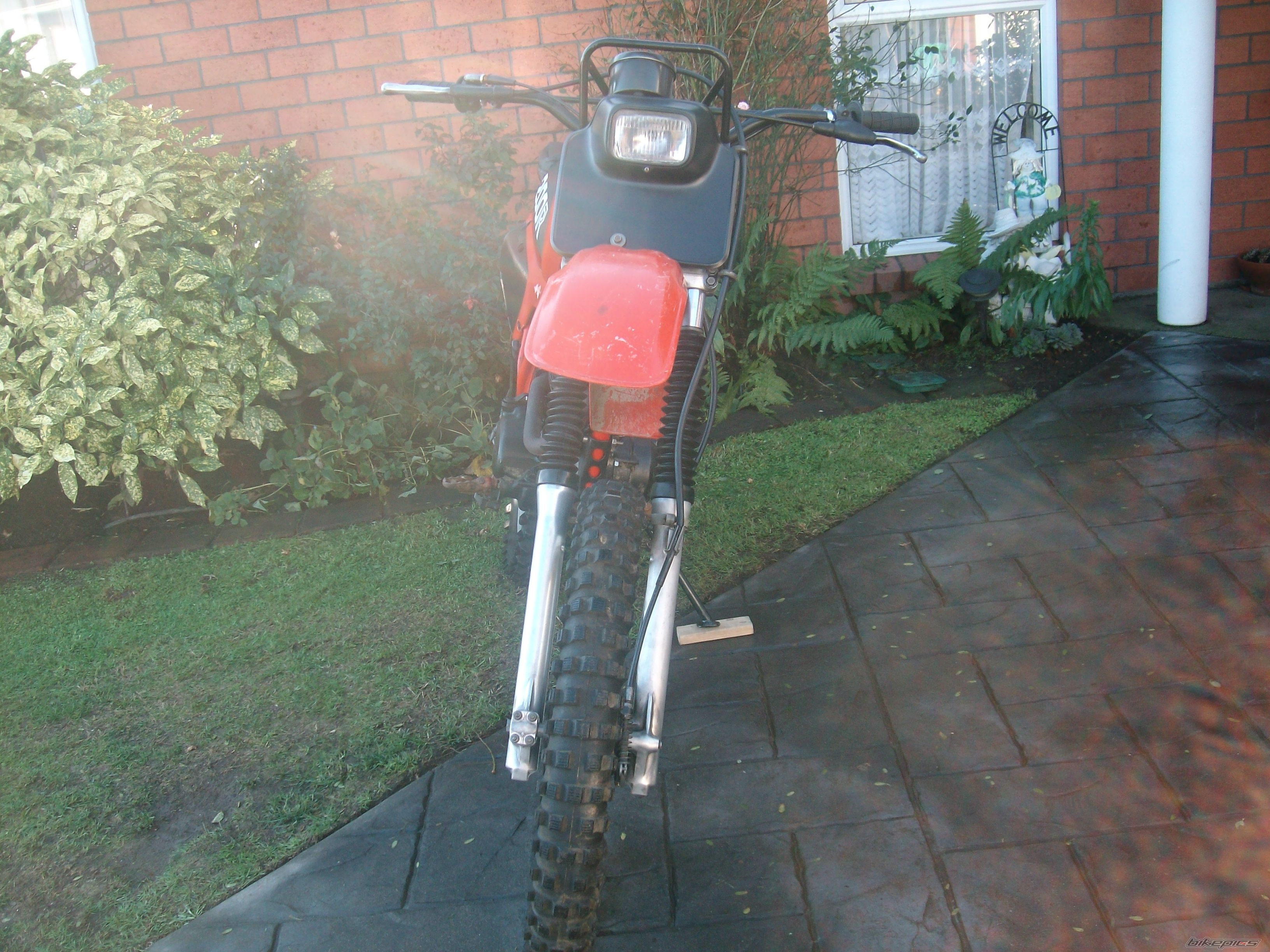 1981 HONDA XR 200 | Picture 1998265 motorcycle photo