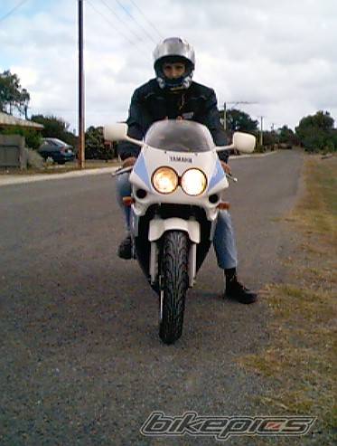 1997 YAMAHA FZR 250 | Picture 1999 motorcycle photo