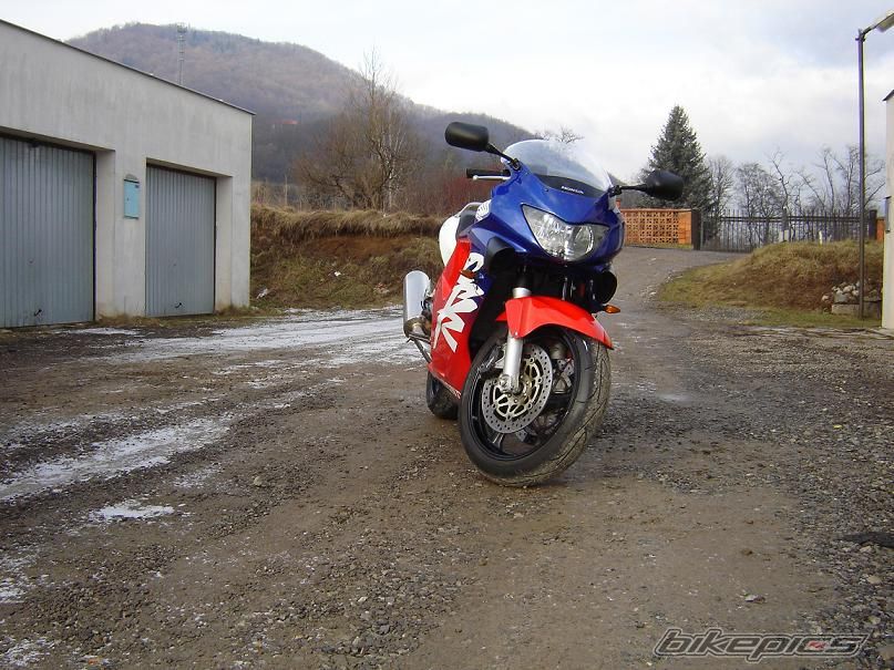 1999 HONDA CBR 600 FS | Picture 1999529 motorcycle photo