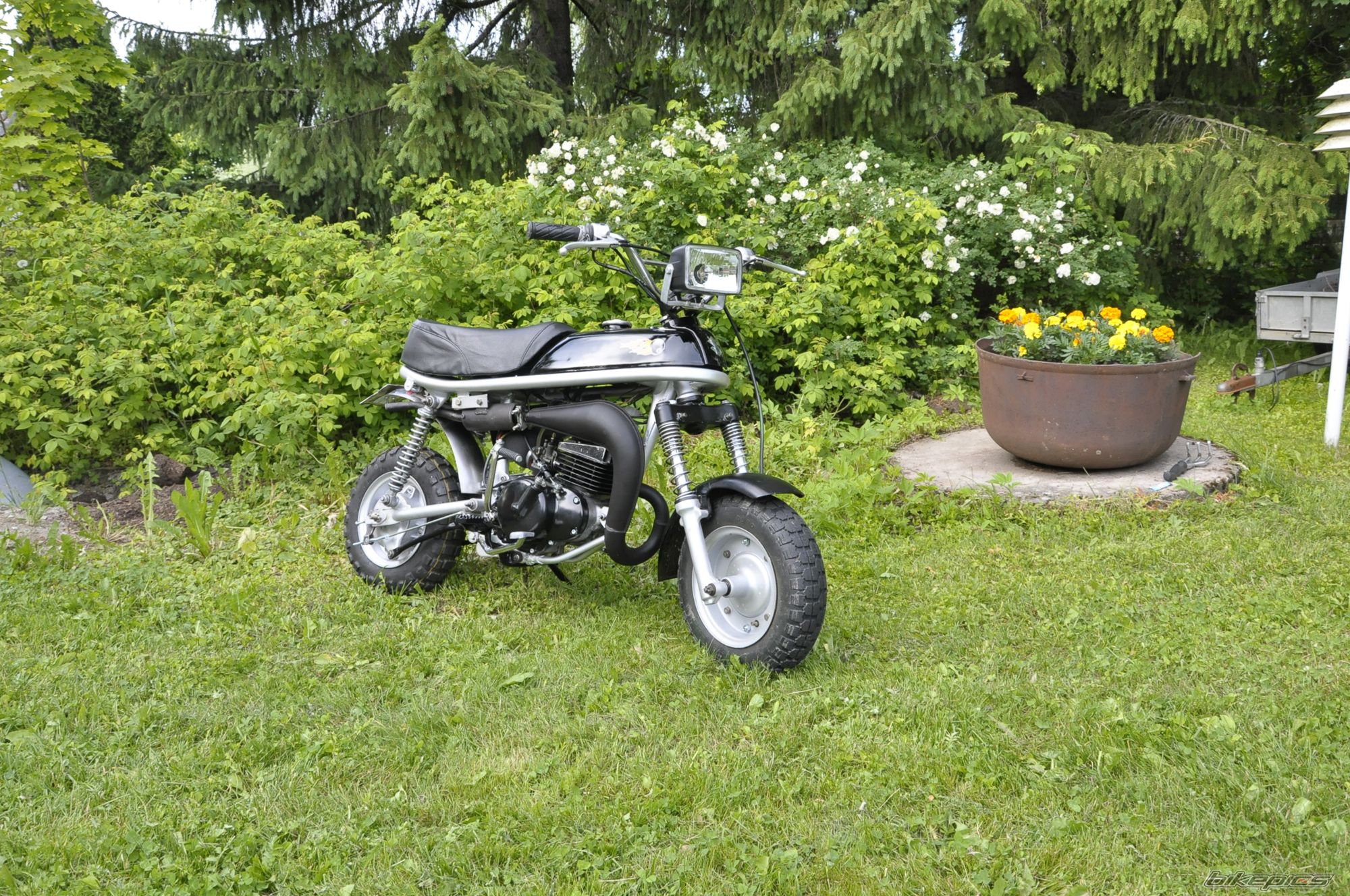 1988 SUZUKI PV 50 | Picture 2000132 motorcycle photo
