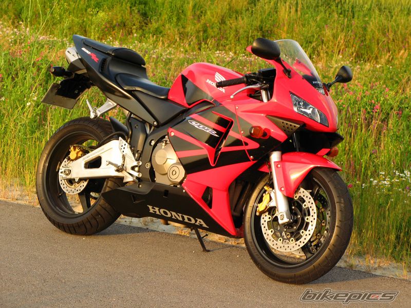 2004 HONDA CBR 600 RR | Picture 2000174 motorcycle photo