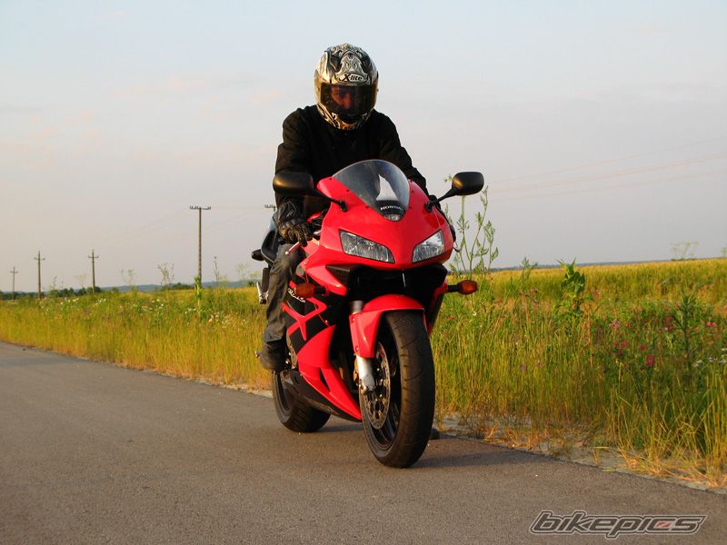 2004 HONDA CBR 600 RR | Picture 2000178 motorcycle photo