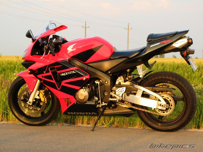 2004 HONDA CBR 600 RR | Picture 2000179 motorcycle photo