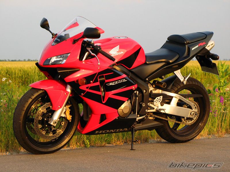2004 HONDA CBR 600 RR | Picture 2000181 motorcycle photo