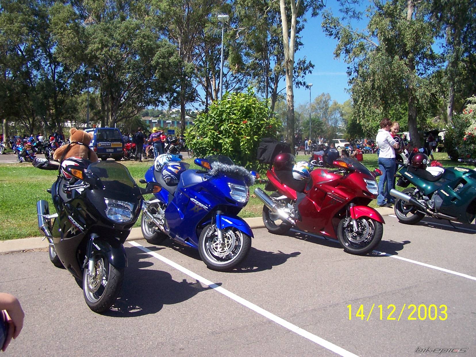 2002 HONDA CBR 1100 BLACKBIRD | Picture 200030 motorcycle photo