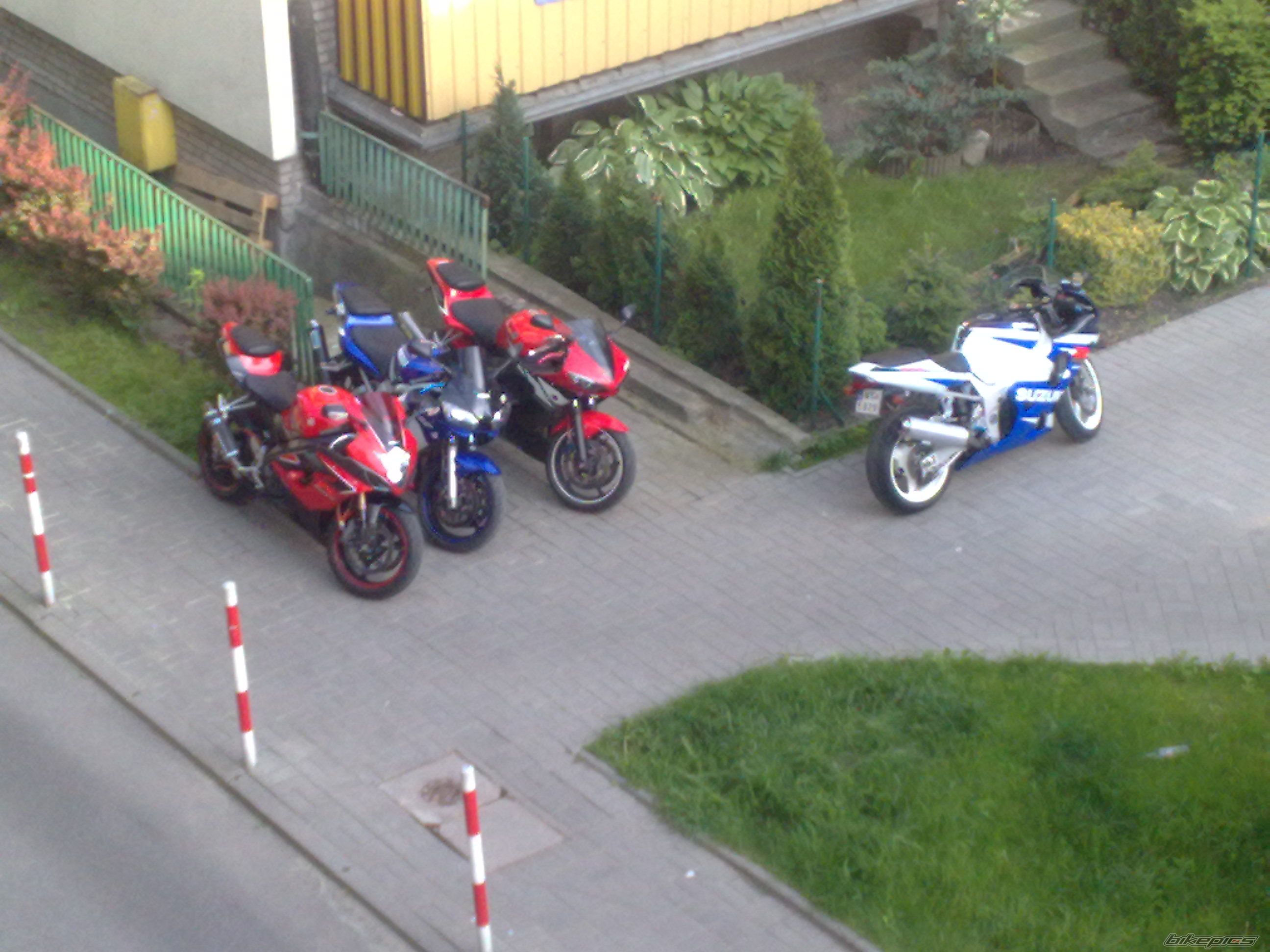 2004 YAMAHA YZF R6 | Picture 2000941 motorcycle photo