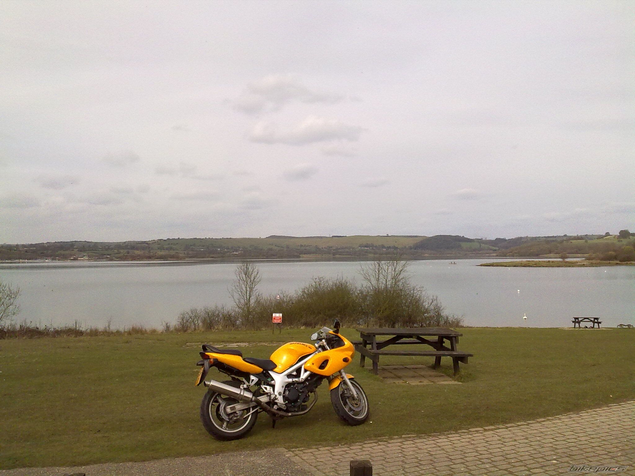 1999 SUZUKI SV 650S | Picture 2001444 motorcycle photo