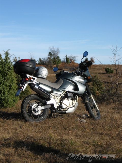 2006 KAWASAKI KLE 500 | Picture 2001540 motorcycle photo