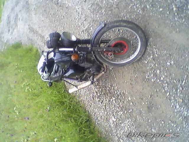 1986 MZ ETZ 150 | Picture 2001674 motorcycle photo