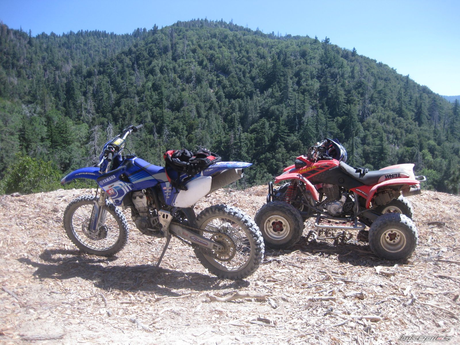 2005 YAMAHA YZ 450F | Picture 2001927 motorcycle photo