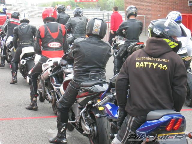 2003 SUZUKI SV 1000 S | Picture 2001968 motorcycle photo
