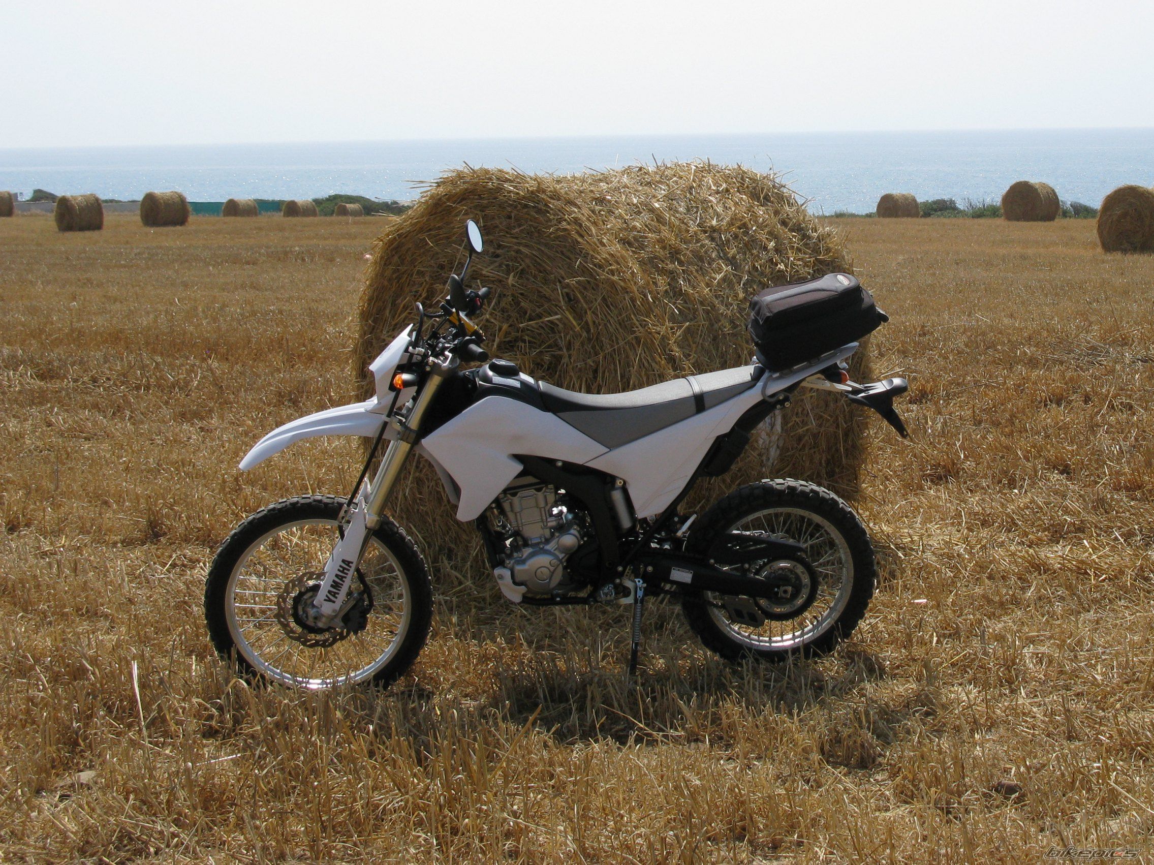 2008 YAMAHA WR 250 | Picture 2002470 motorcycle photo