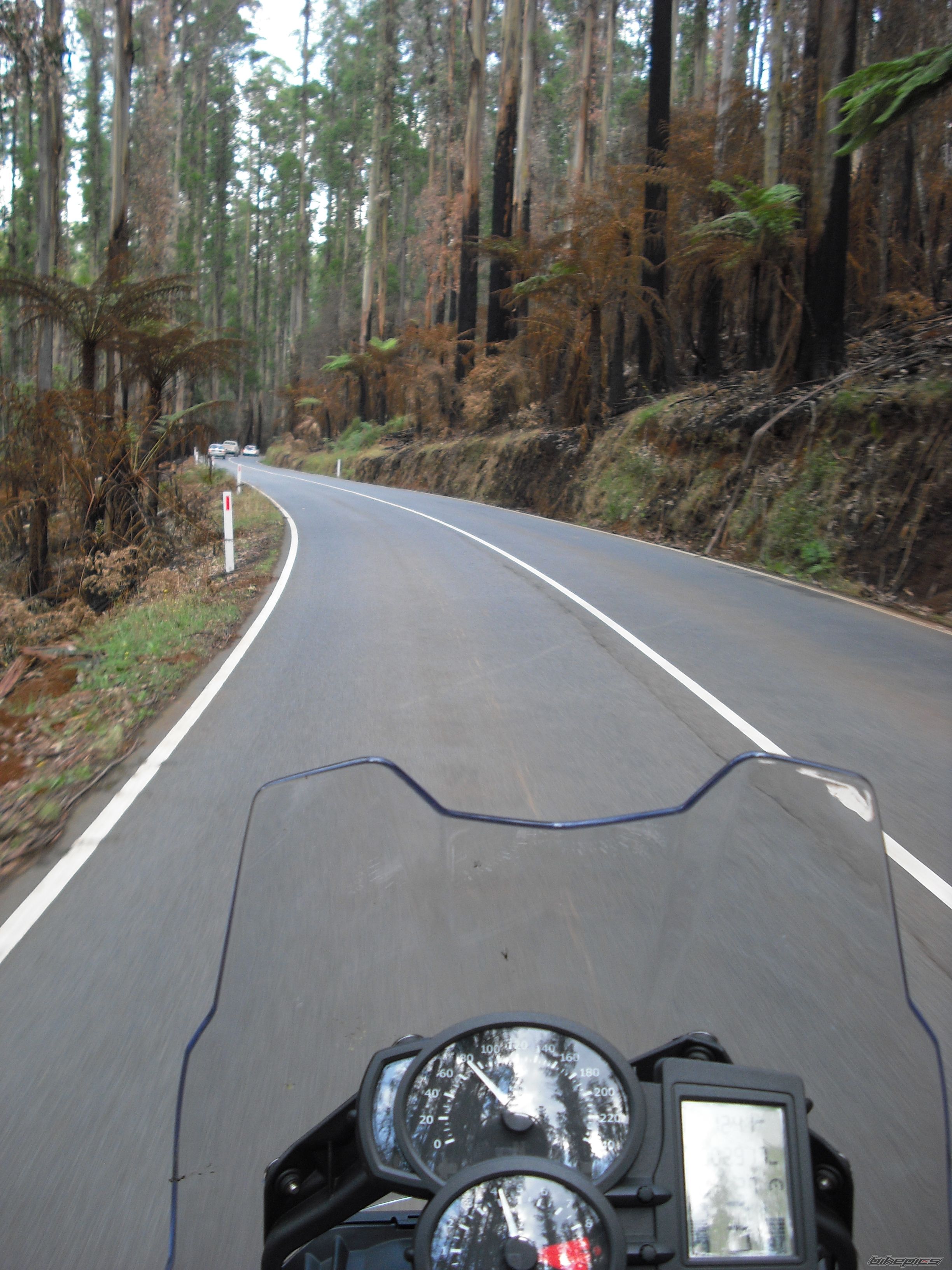 2009 BMW F800 GS | Picture 2002819 motorcycle photo