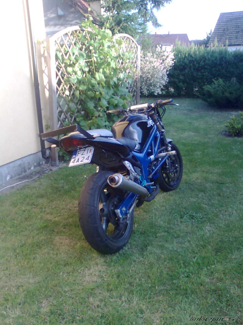 2002 SUZUKI SV 650S | Picture 2003041 motorcycle photo