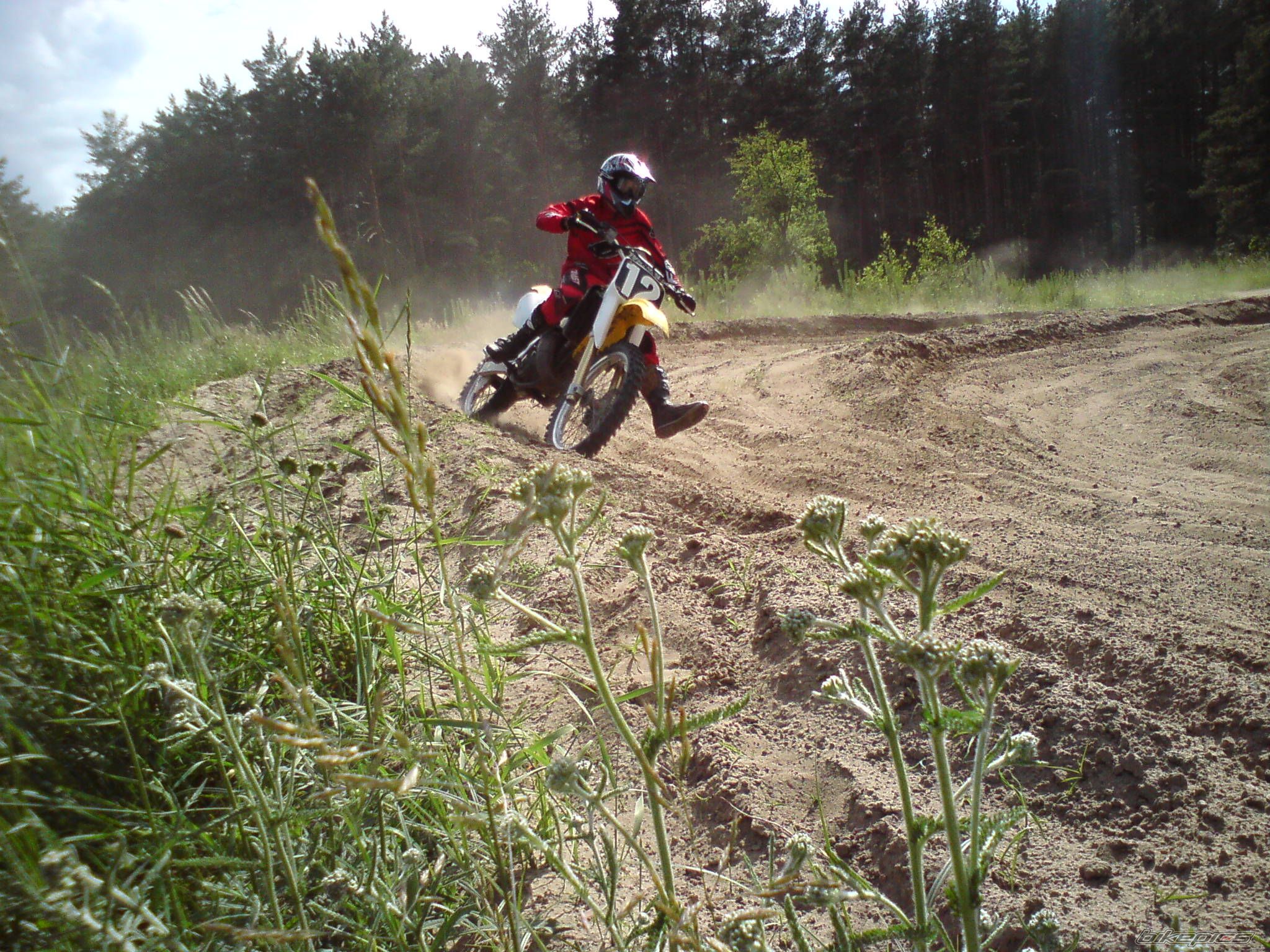 2000 SUZUKI RM 125 | Picture 2003051 motorcycle photo