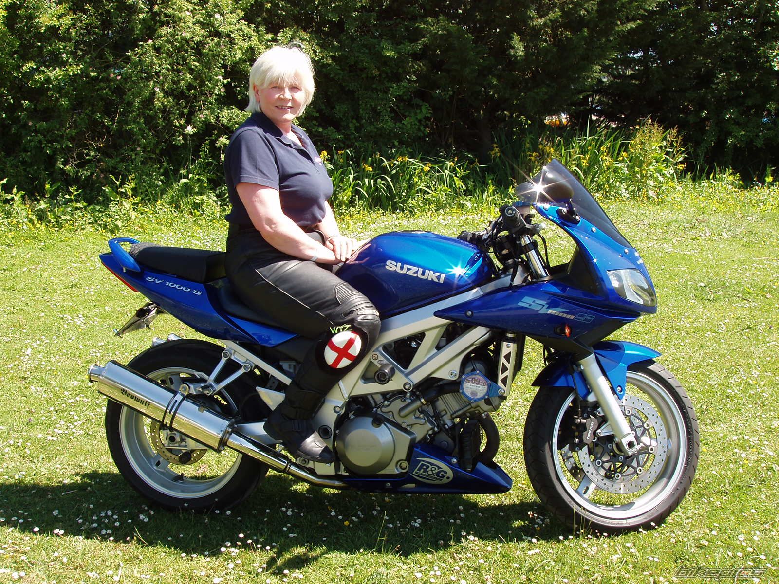 2003 SUZUKI SV 1000 S | Picture 2003859 motorcycle photo