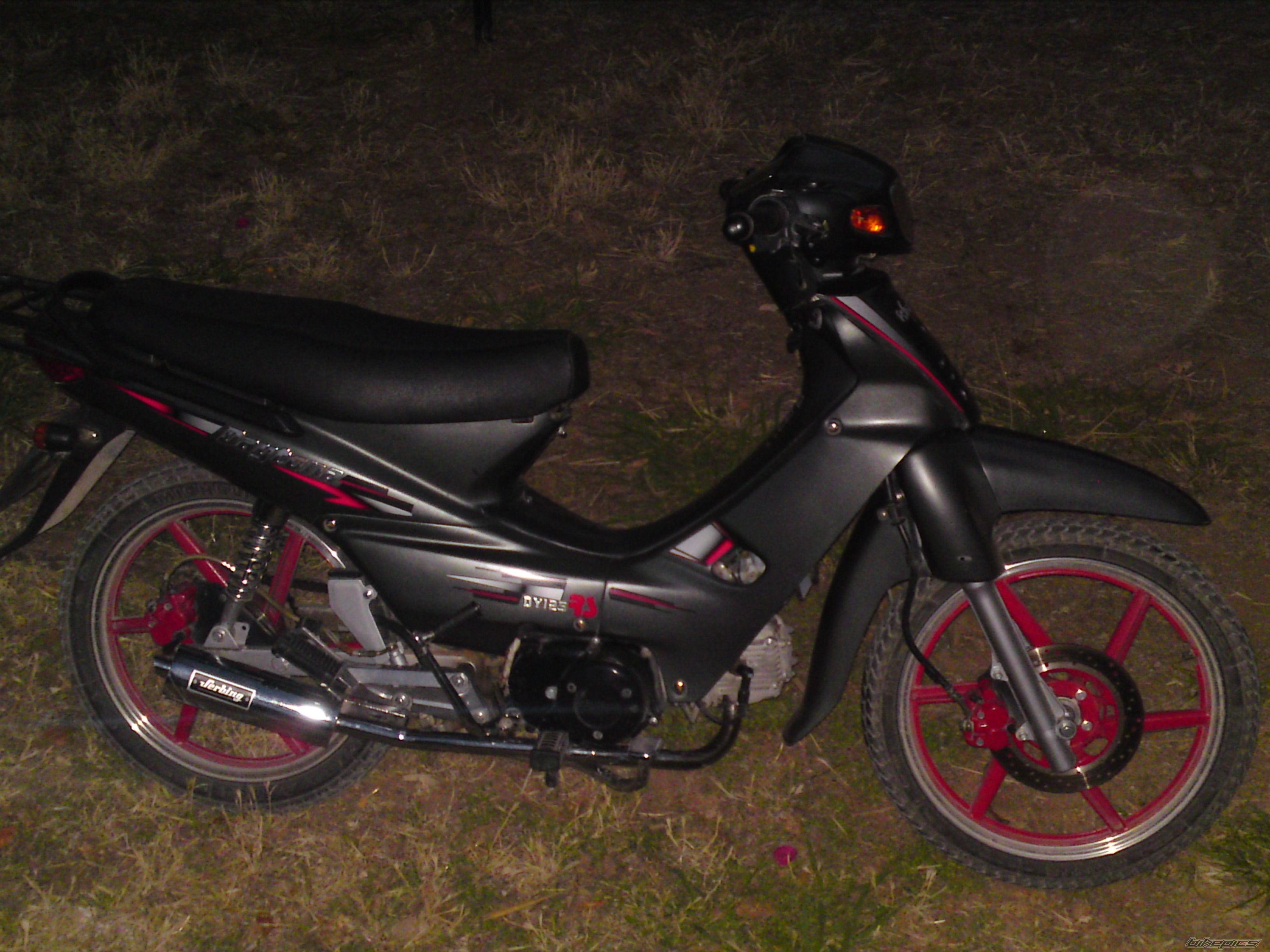 2008 DAYTONA DY 50R | Picture 2004079 motorcycle photo